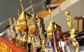 拜仁慕尼黑主场轻取勒沃库森